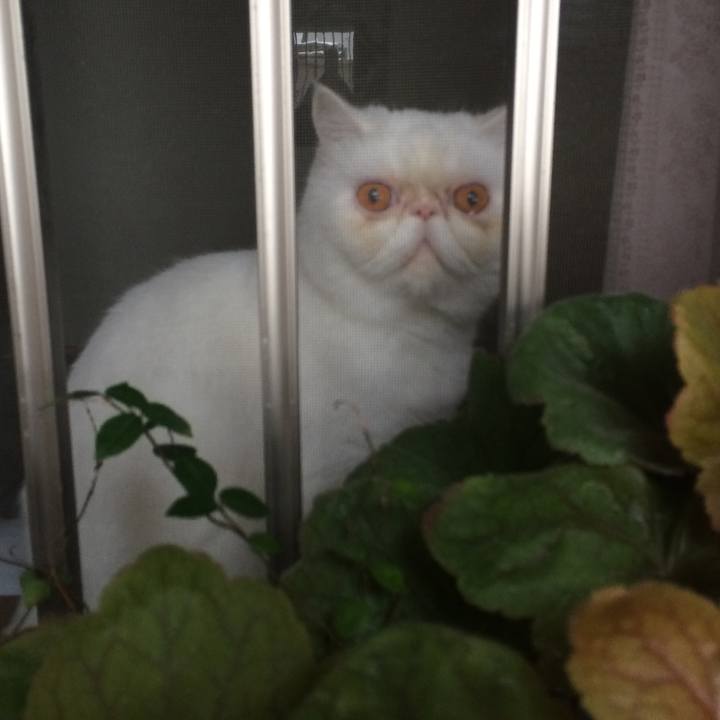 Ff5f1c52 8af7 4731 bb37 81f61a6868ae