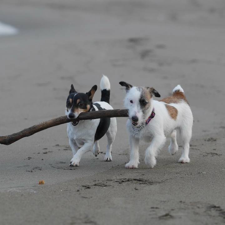 Ff5f2727 1722 4579 ac74 b703d133bb60