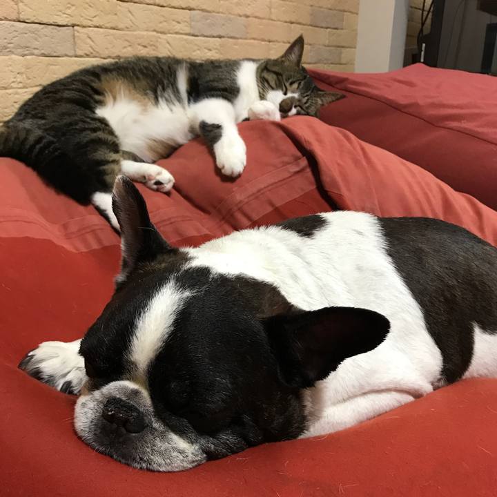 Ff60055e 58a9 4c2a 95c8 913f5ffcad83