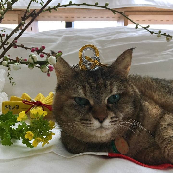 Ff60ad55 0404 4bc6 9f47 e8fb5c403e41