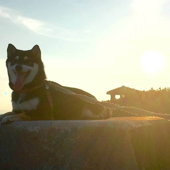 Ff616ca4 89fa 459a ac8d 030ee6991fc0