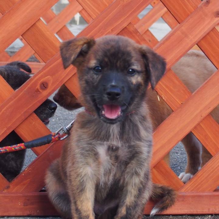 Ff61b2ff cd93 455d 8f88 0adaf7c53f37