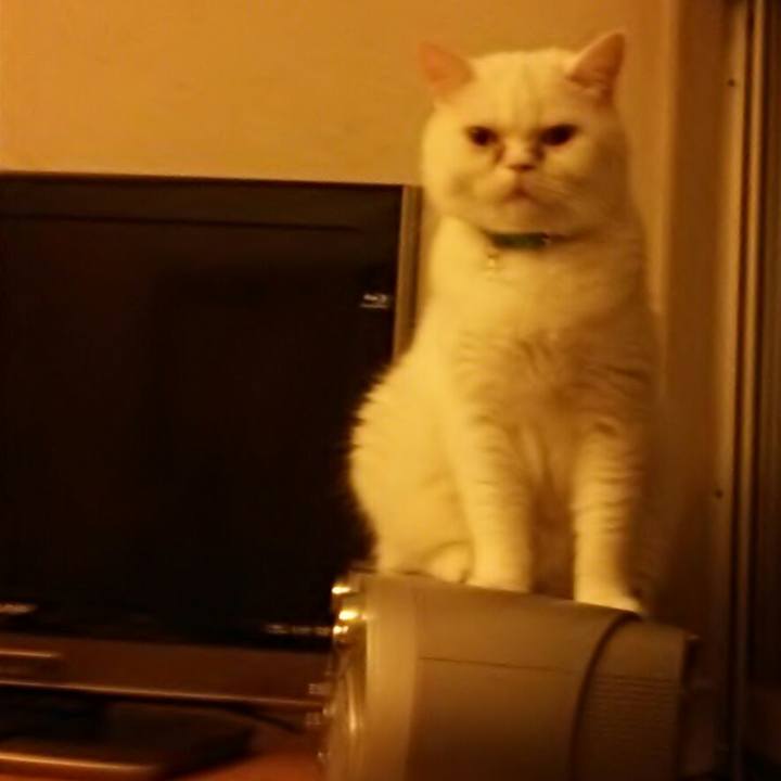 Ff61cf4d 4712 413a 8e1e 00dc0df08d4b