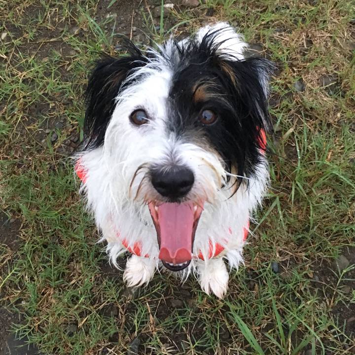 Ff63805a cd99 4228 9977 112f08ed8a5f