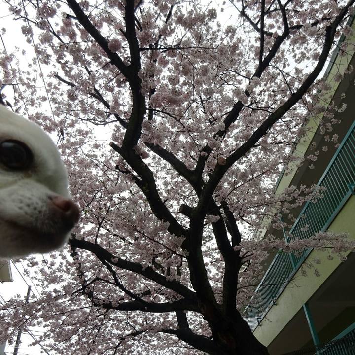 Ff64f4be cfa8 4742 8333 0e5251cc3633