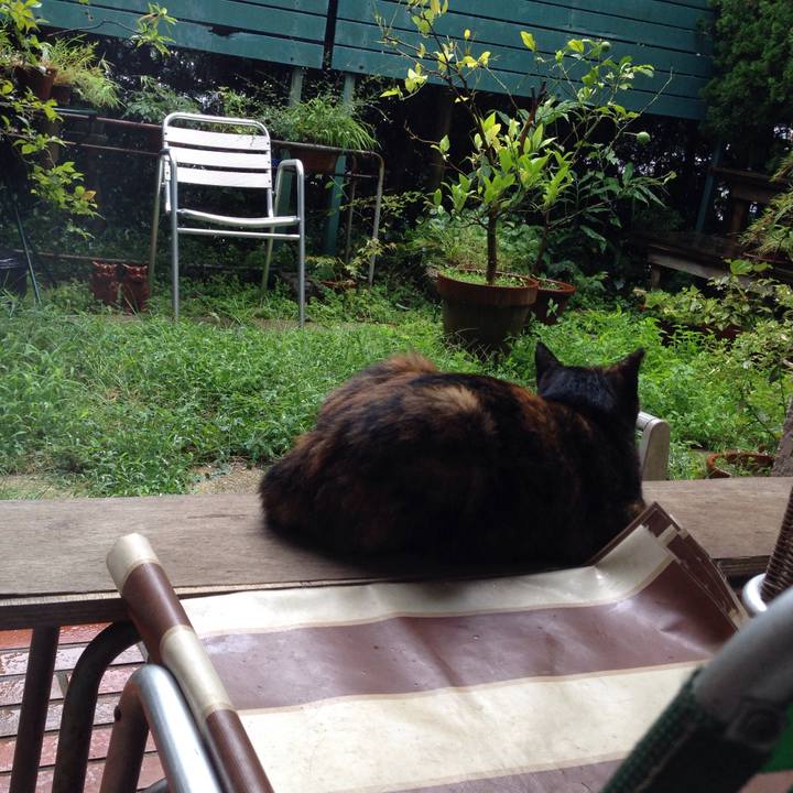 Ff657c36 8a8d 48bd 9984 03ef9f8590f8