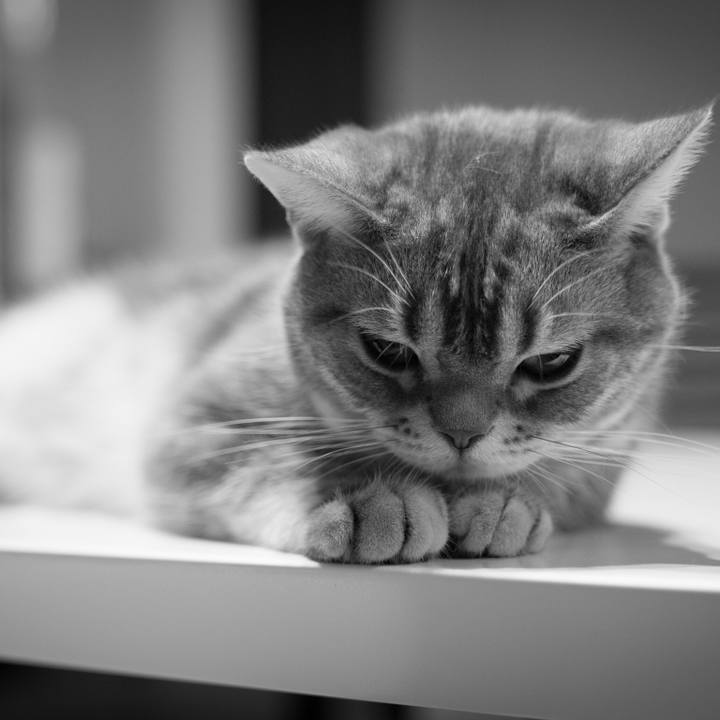 Ff65da53 c8bb 4dce b217 0e1d8f87676e