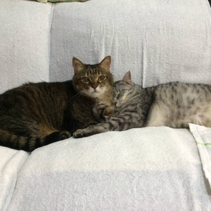 Ff66733b d2ee 4a72 b596 8e5346e91ae8