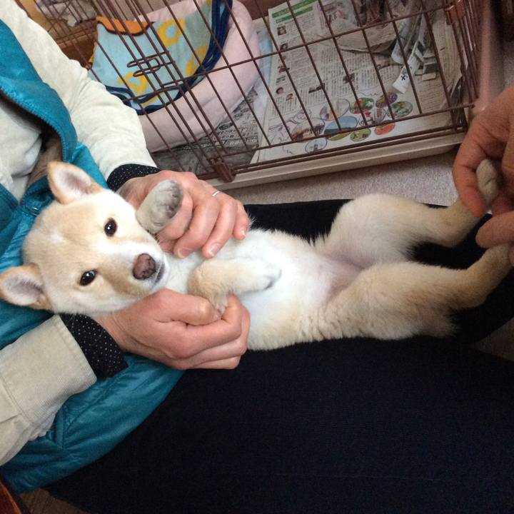 Ff668225 99ba 4f81 819e 721a8c1ef1bb