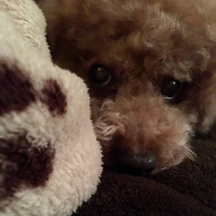 Ff66c75b e41b 45bd 936b 06d6601f6162