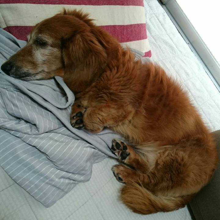 Ff674b99 c038 4570 99d5 f72f9ec98f22