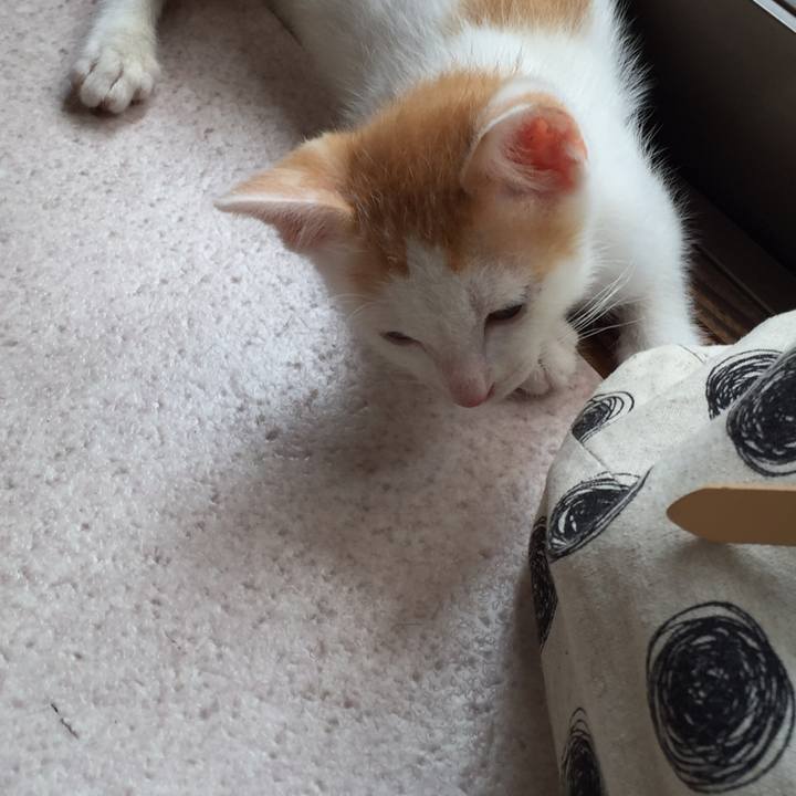 Ff67725a 7d33 421c bab6 156f23ba3551