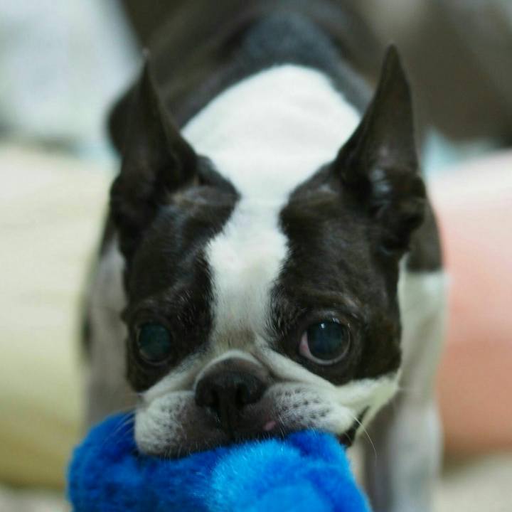 Ff6789ca 661f 40a2 bc8c 6022e4238a65