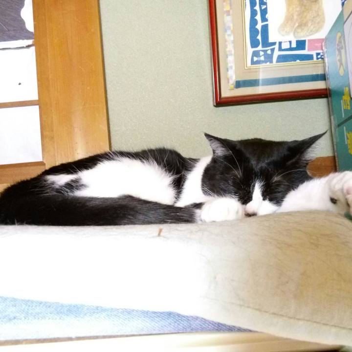 Ff67a9c8 1a1e 40e8 97a6 6a3961706ad6