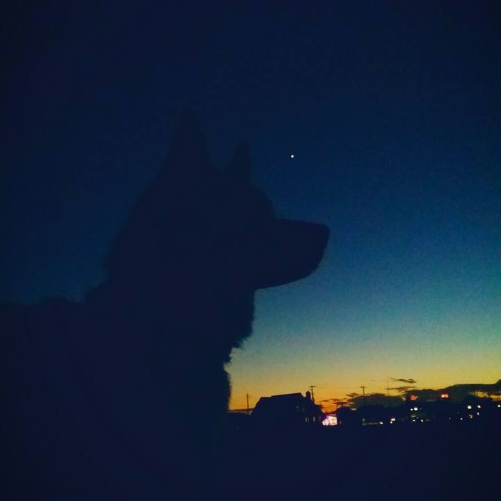 Ff68c5d3 b3ce 463b 8fd7 ebf28f65e38f