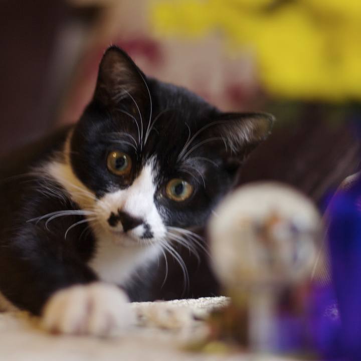 Ff6a5a56 2604 46fa 9780 470bf1693a22