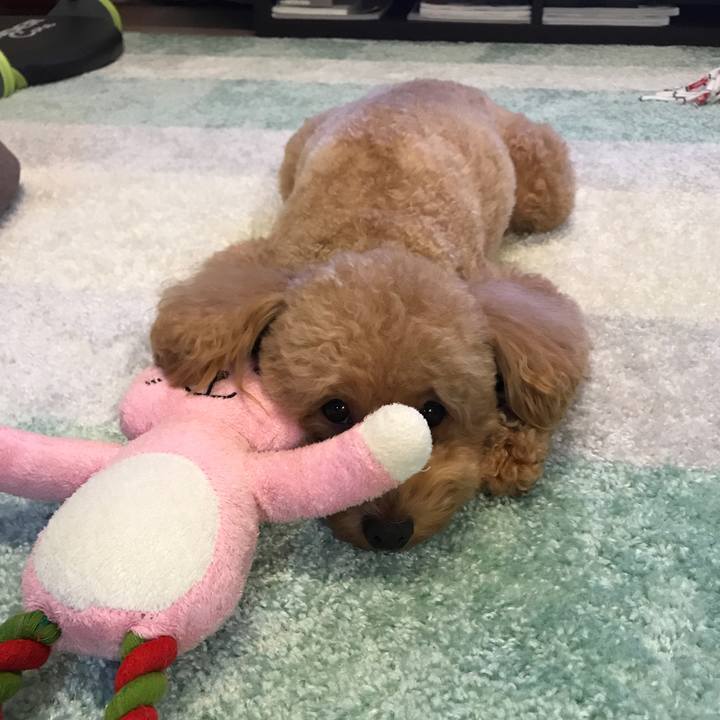 Ff6a7bf9 6667 41b0 9db9 de4908212fa0