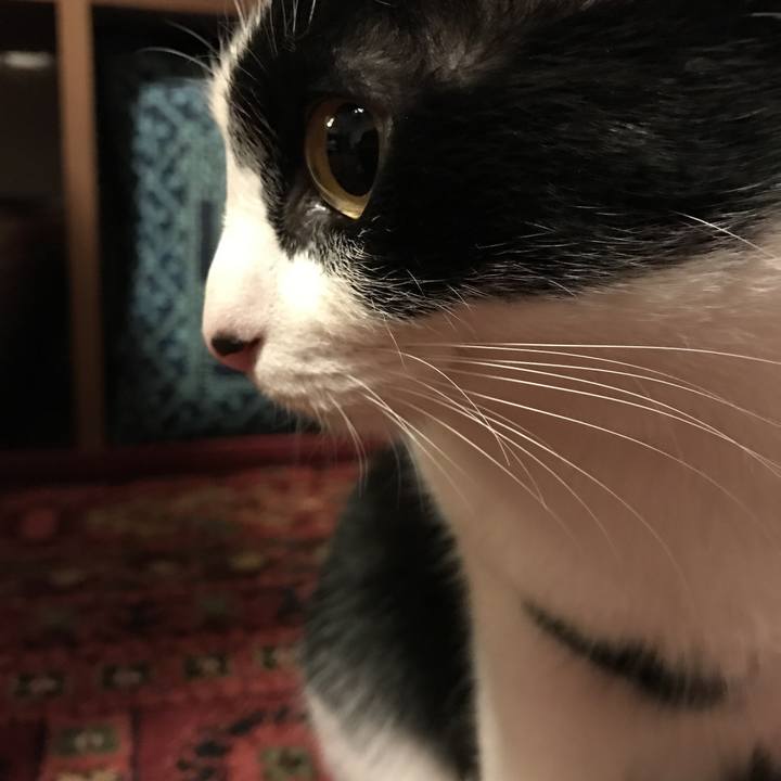 Ff6a879a b29b 461e 8dad 97e028834606