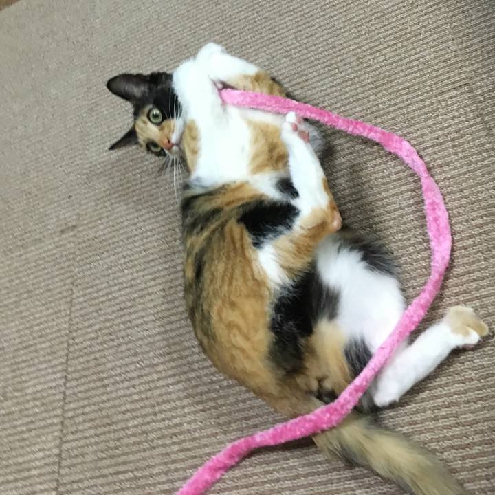 Ff6ad728 71c2 4ad9 b7ca deeb8a004451