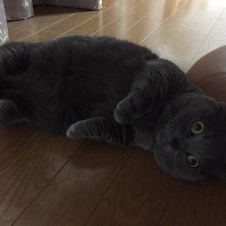 Ff6b0e7c 52dc 4f7b 87a9 2ce6203eb5d6