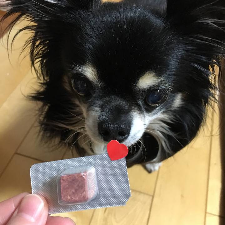 Ff6b4fac 945f 4776 97c7 b41b3eaa7ce3