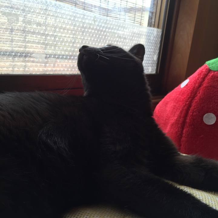 Ff6c546f 0869 49ac be1b a77871d31da0