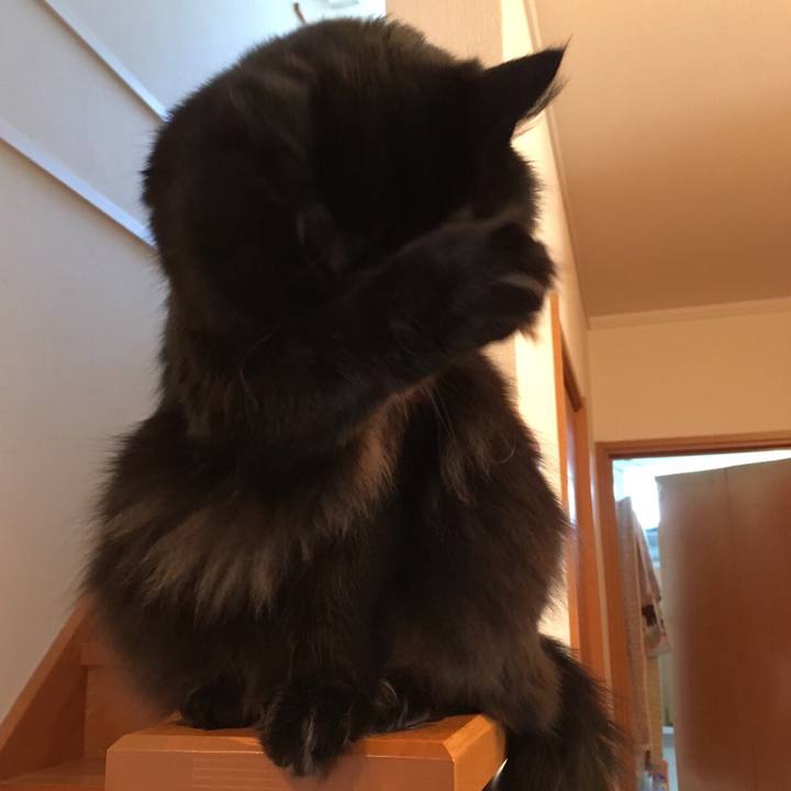 Ff6d2b9e 288e 4ed6 b142 d613bcd63eec