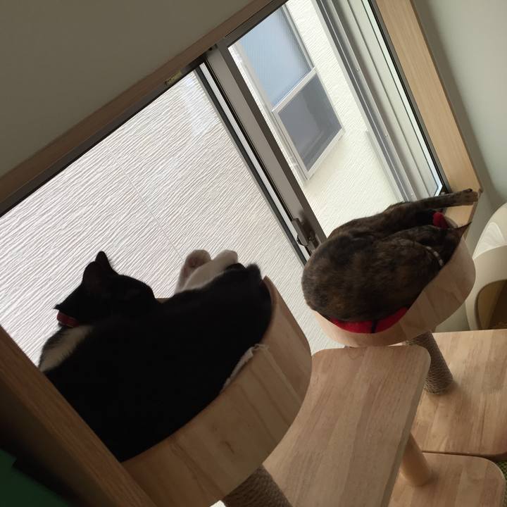 Ff6d40fd 1429 47e0 b7bc ff1ffa4efab4