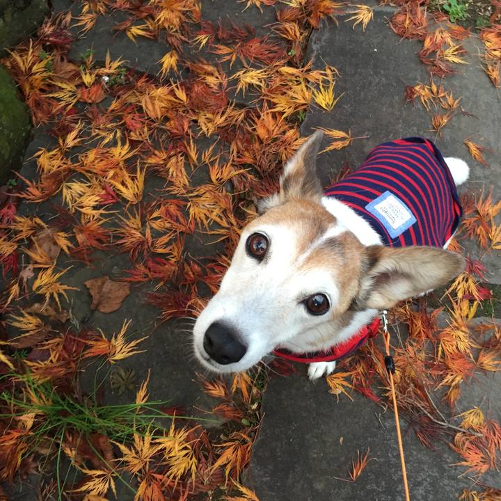 Ff6d5e10 81cd 4c70 a2d4 26c0c865feff