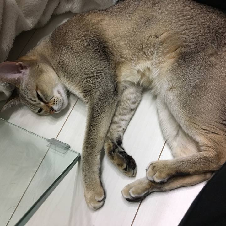 Ff6e08ea 453f 4856 b144 7000b07eae32