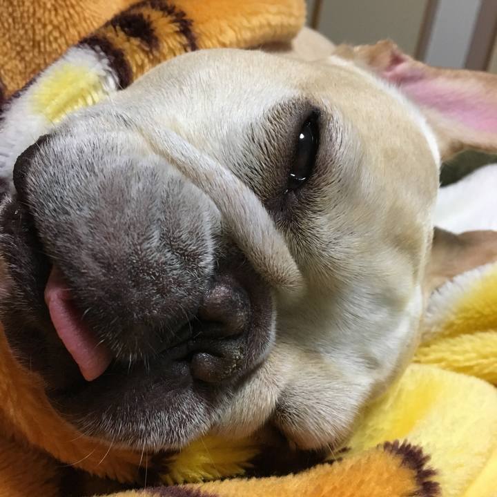 Ff6e715e 8ef8 48d8 8764 20fea48a0129