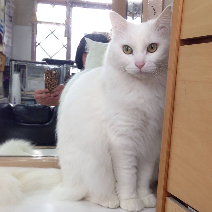 Ff6e7441 7ebe 4885 806a 96c230e36aee