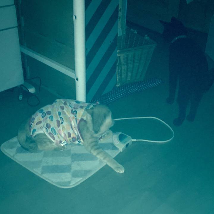 Ff6f0a0b f4ef 47df b15d cff606cf7f20