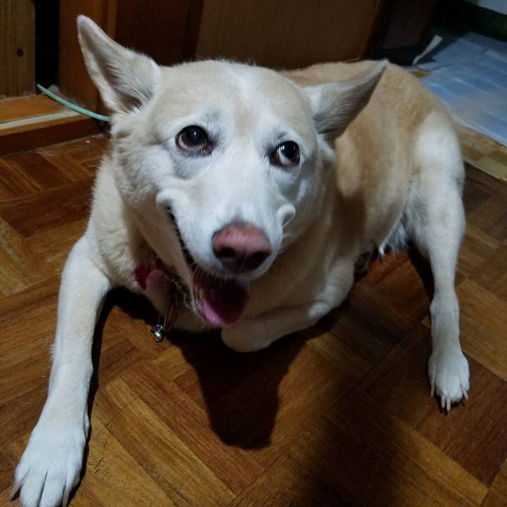 Ff6f3ff8 09a8 4d64 b2e2 94573d3788a4