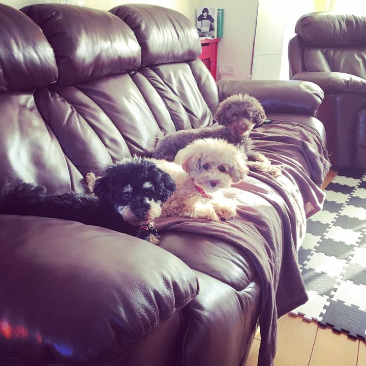 Ff6fc95e 5f7a 4a9b bc5a 36ce2a0ff83e