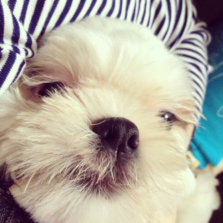 Ff70732b 813d 4d43 89a3 0fc309e21b59