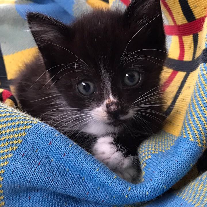 Ff707631 f8c7 4822 89ec 94971f4061ef