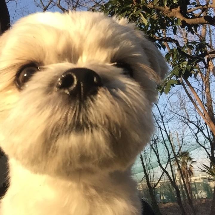 Ff70949c 2bcb 47f4 9a00 0cc1f13755ed