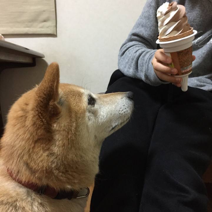 Ff70a4e7 3c1e 4192 97cd 806f8bfa4000