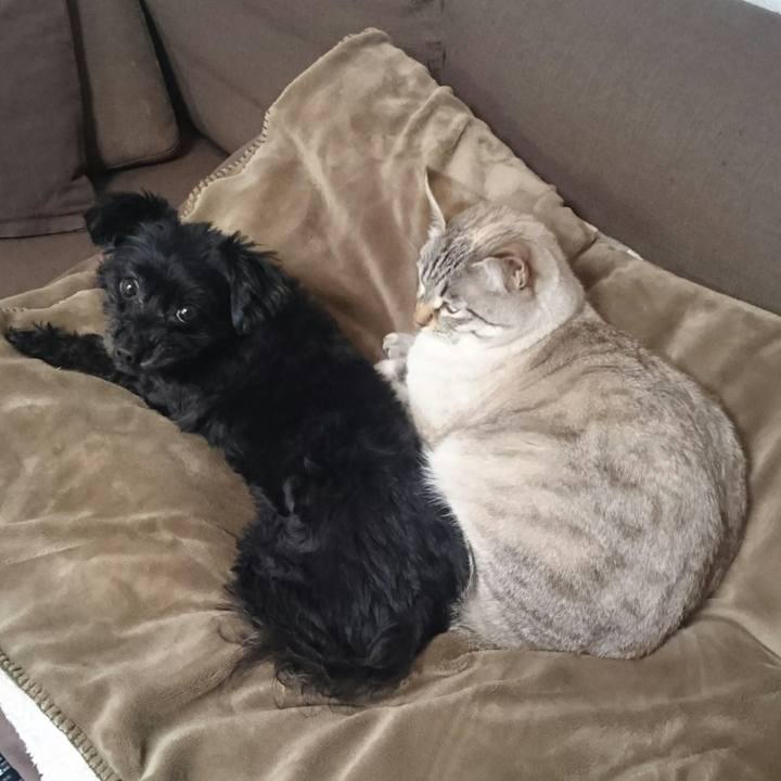 Ff711290 e7ca 4519 982e b0123ce52e1d