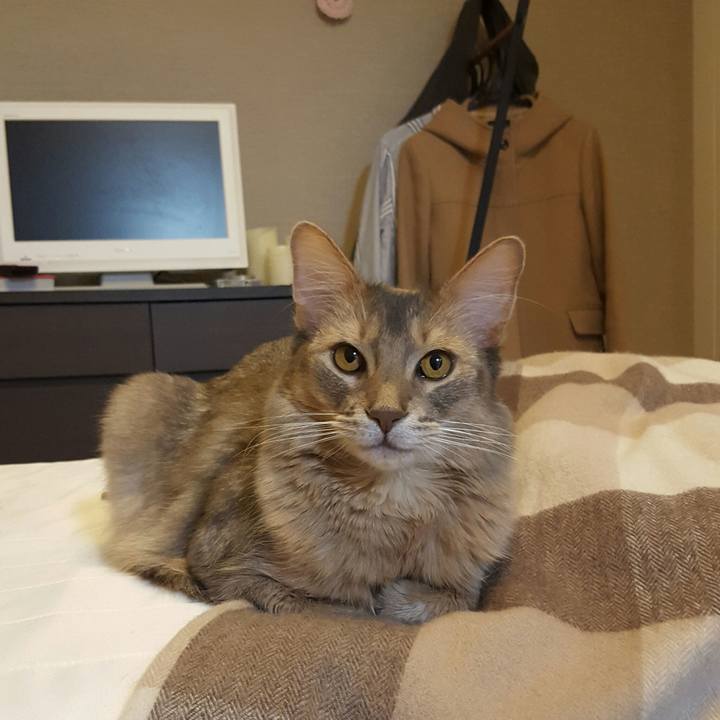 Ff719556 47a3 4b8d b9df 99b77503c57a