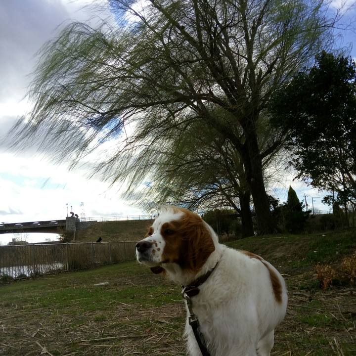 Ff71992b 56ba 4f1d a522 a4b2662ecfb6