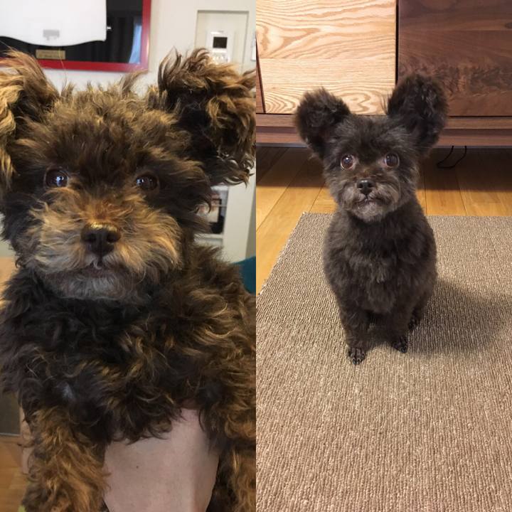 Ff72ceca 264b 49f1 bb85 0c7f282f2569