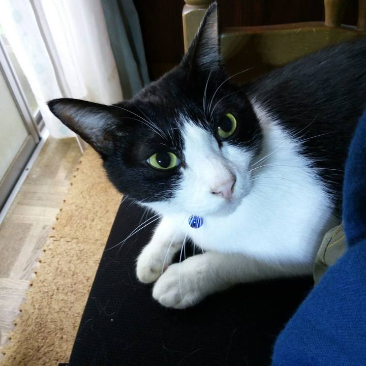 Ff730818 1cd4 4e0f 8765 fa7ac73dab1d