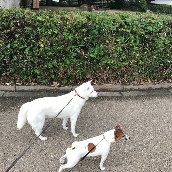 Ff732992 bdac 4e53 8833 0d81ce0bc36e