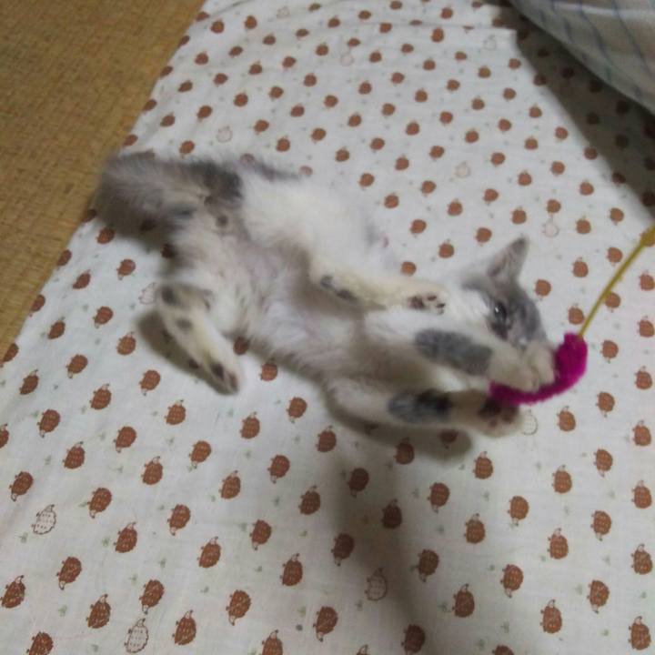 Ff736efc d0be 4d61 b6e9 c932a3f6d1fe