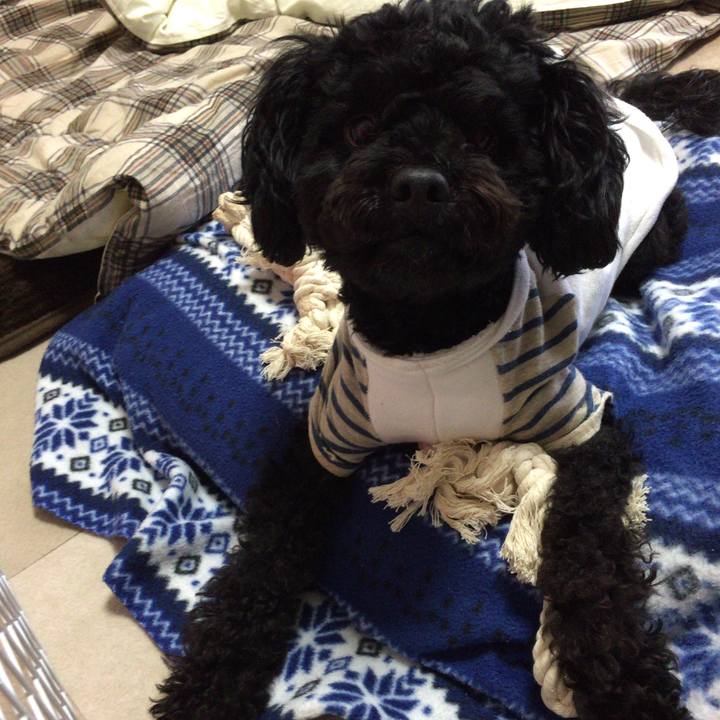 Ff7387d9 8d08 402b ac17 728ae9d5950e