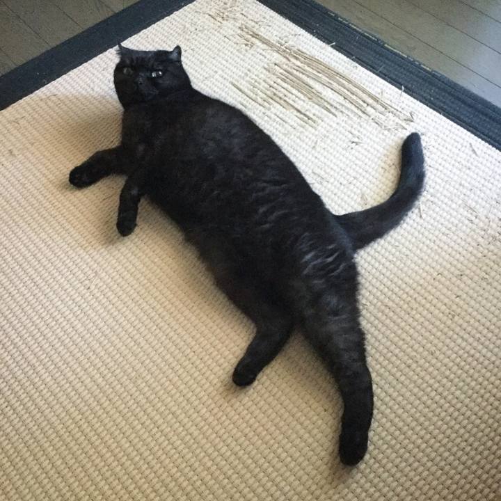 Ff743d15 ab69 434e a822 cbbca0bec30a