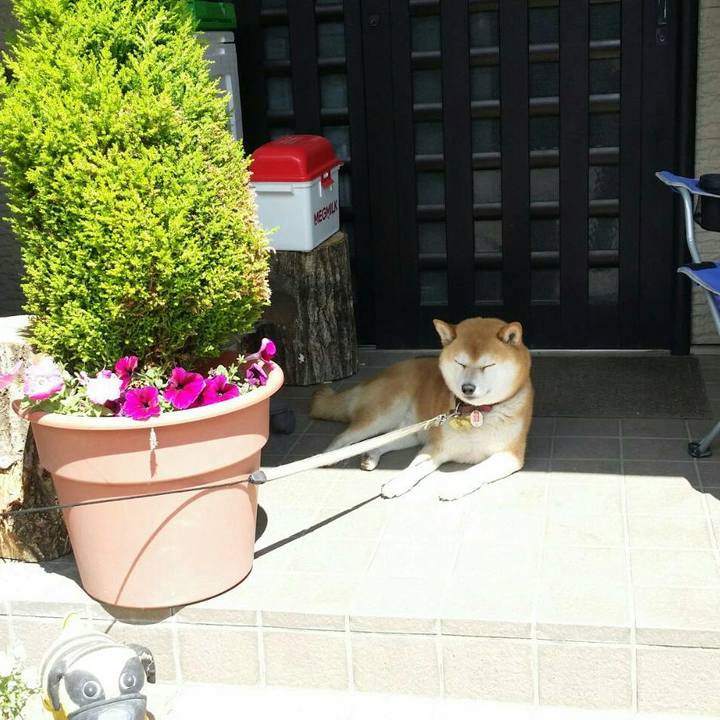 Ff743edd 4511 417c 9c34 4f46e2b151b2