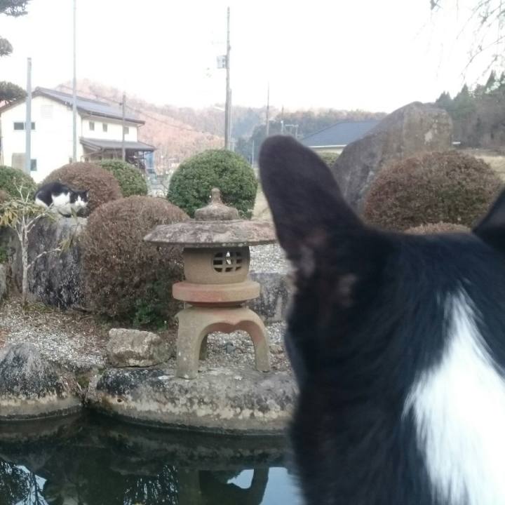 Ff747e84 f300 4c13 962a 83cdecfea653